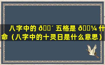 八字中的 🐴 五格是 🌼 什么命（八字中的十灵日是什么意思）